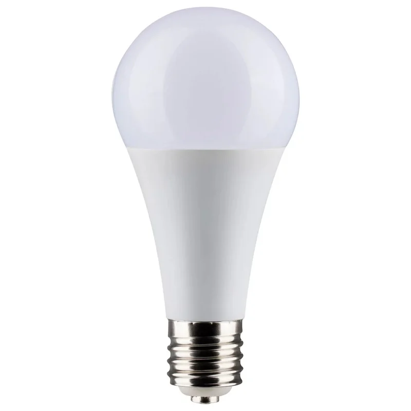 beeslighting12452807