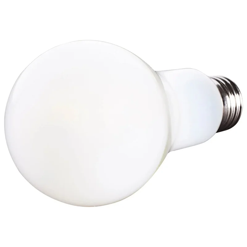 beeslighting12452918