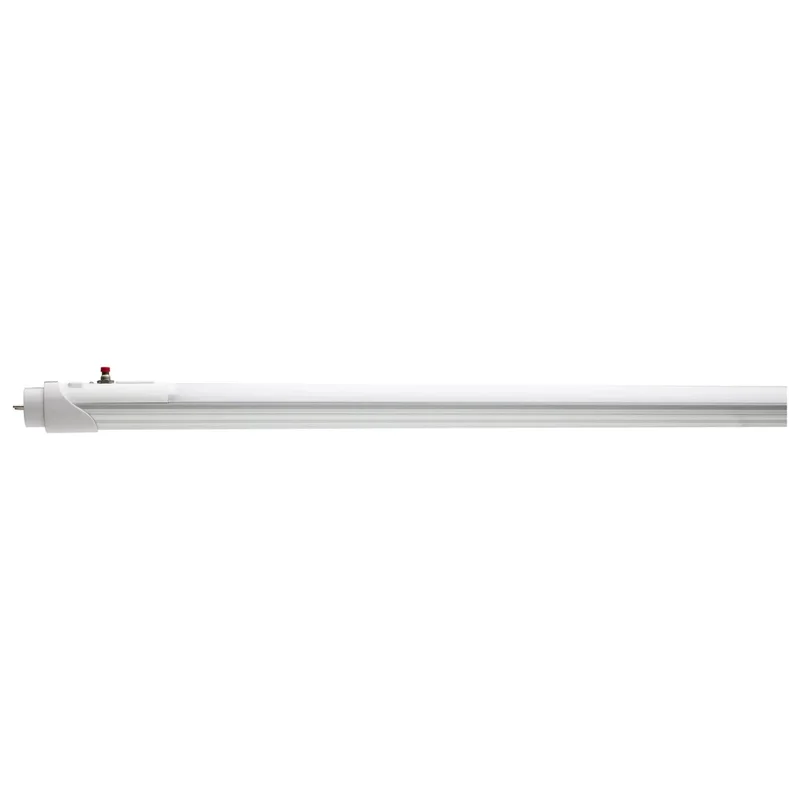 beeslighting12453013