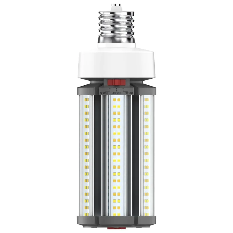 beeslighting12453232