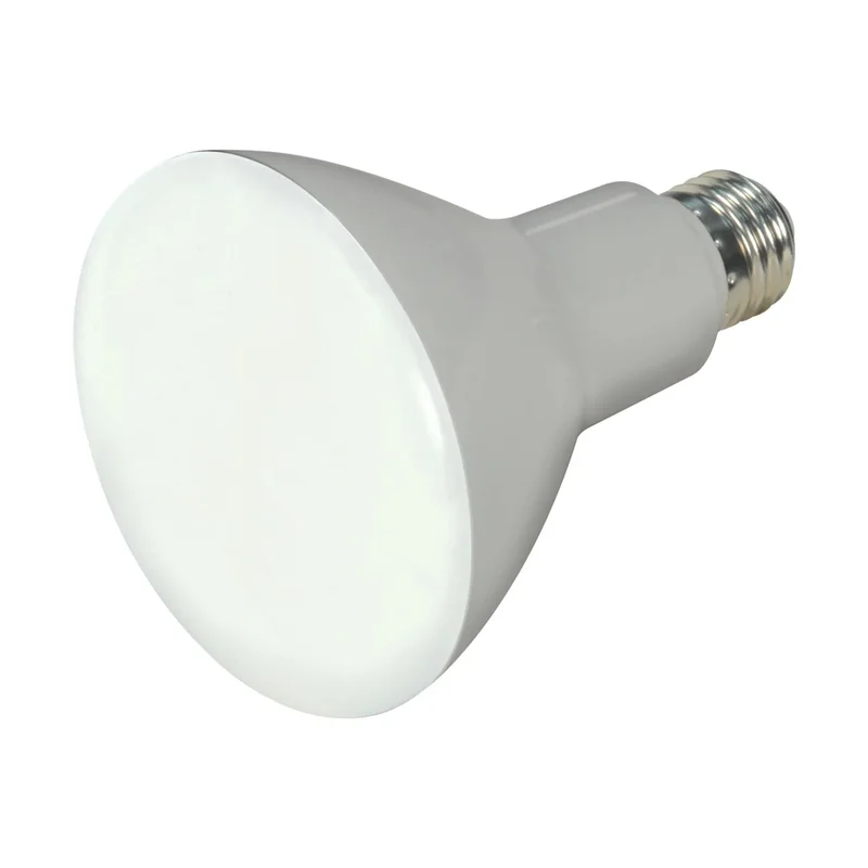 beeslighting12453453