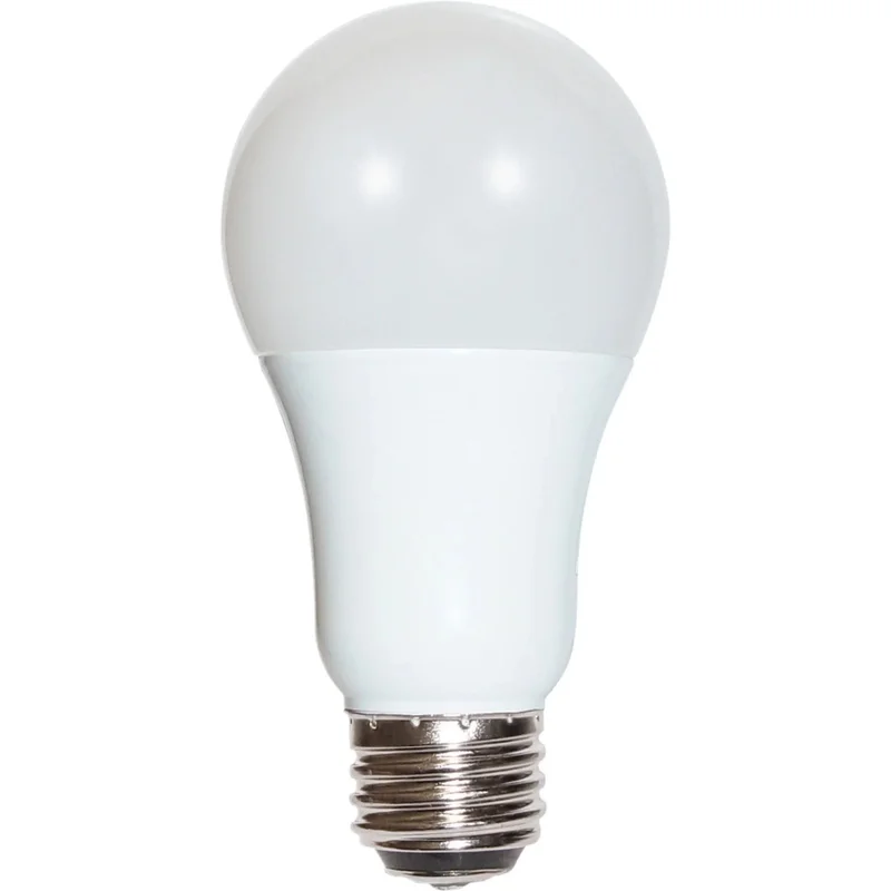 beeslighting12453919