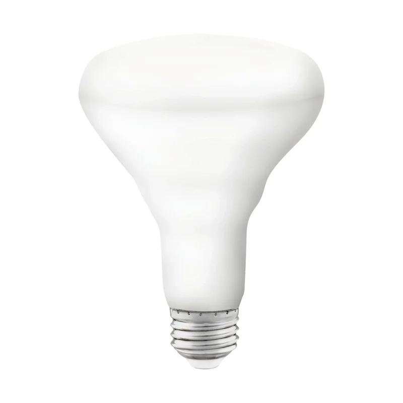 beeslighting12454336