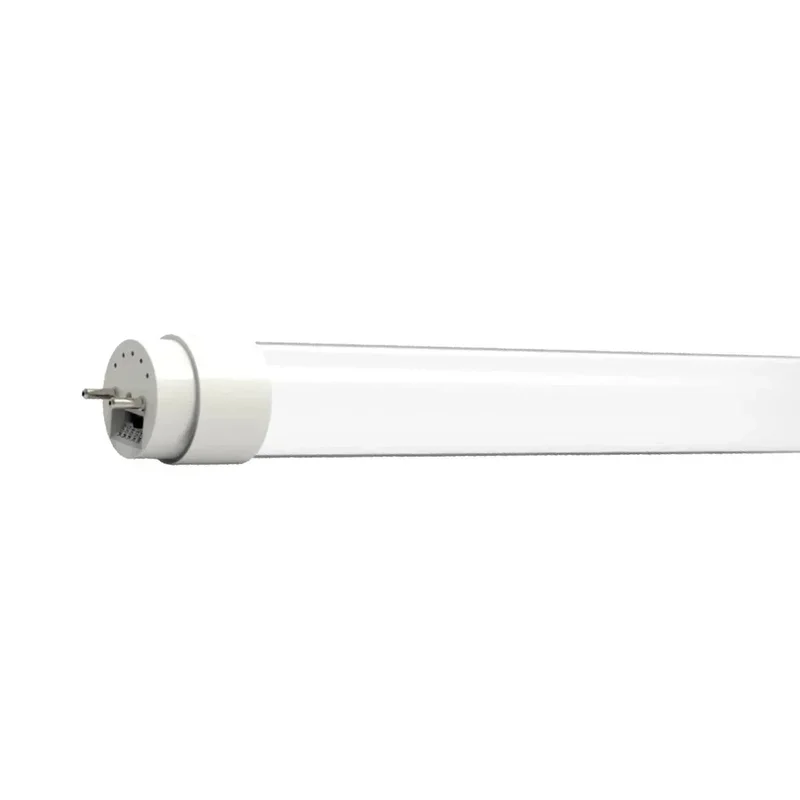 beeslighting12454782
