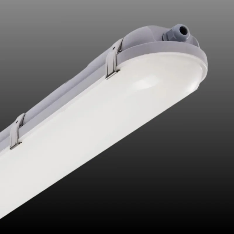 beeslighting12455368