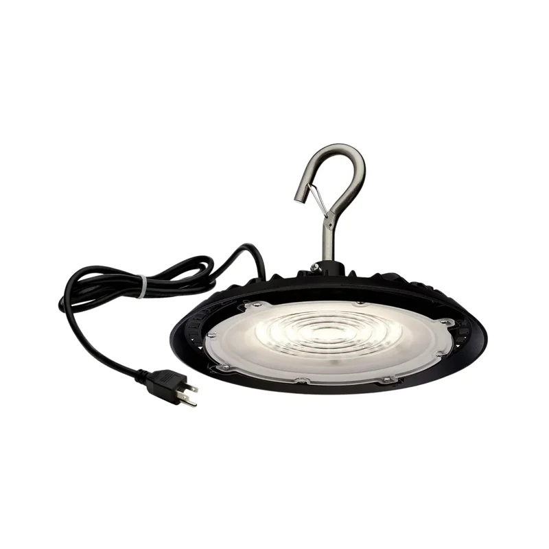 beeslighting12455444