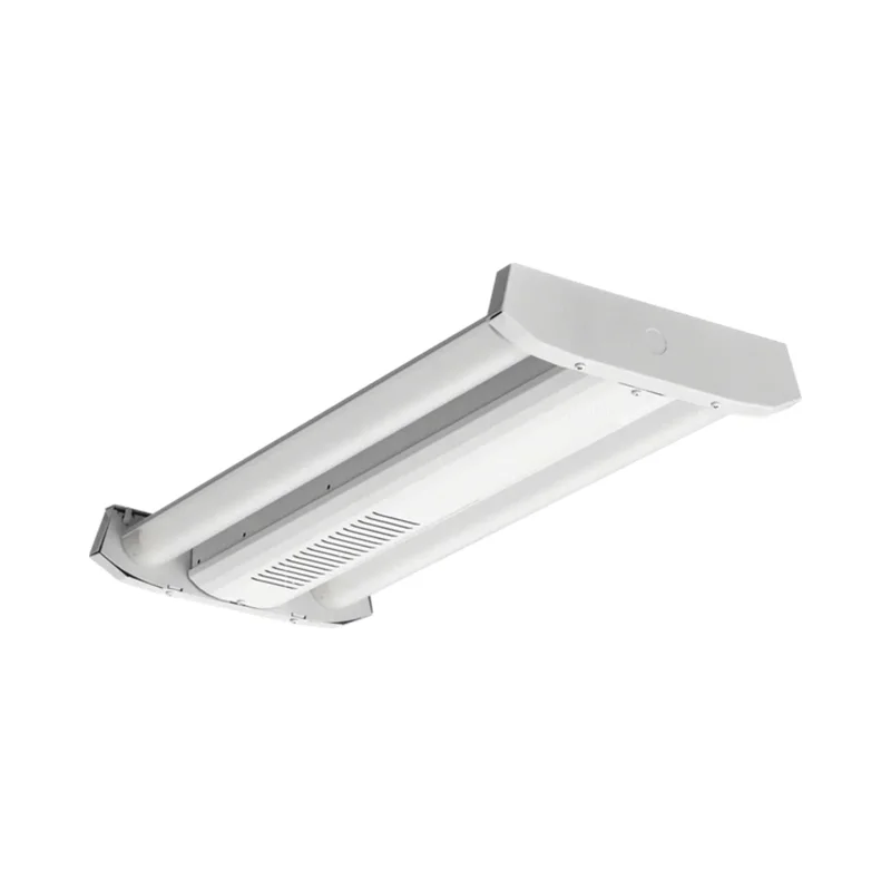 beeslighting12455594