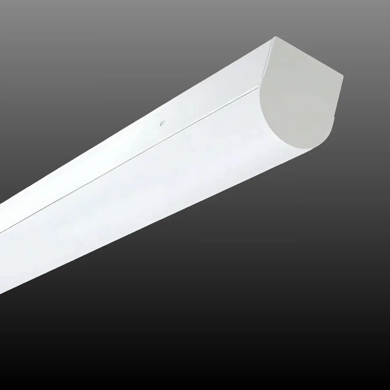 beeslighting12455745