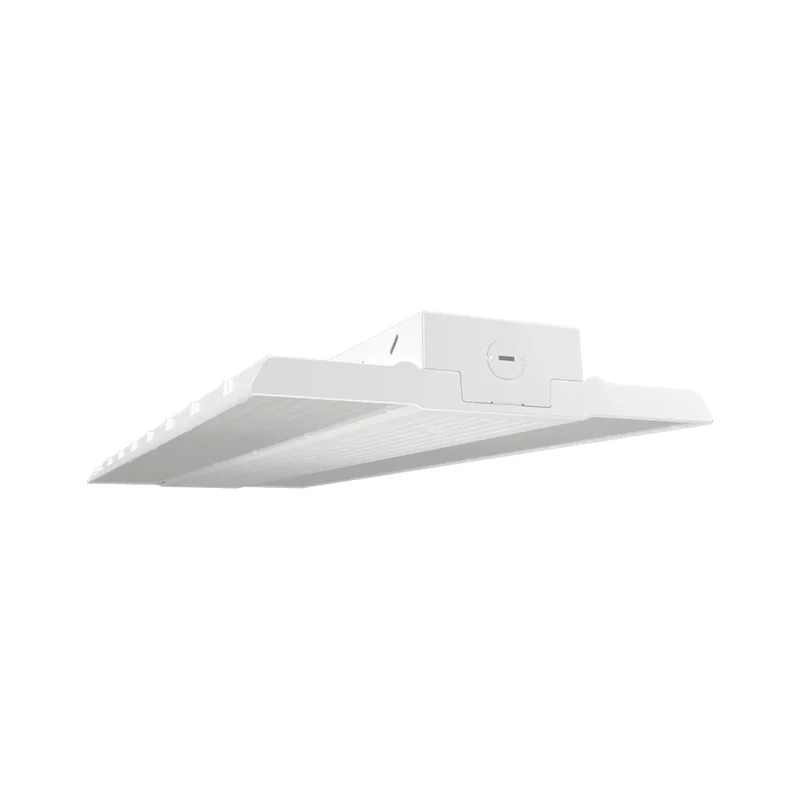 beeslighting12455892