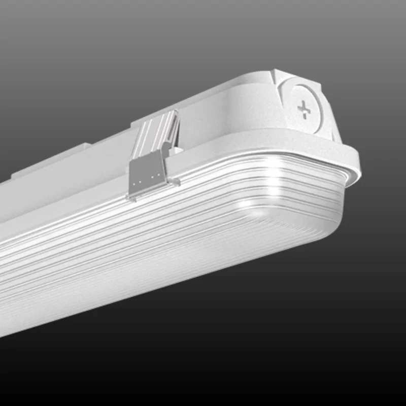 beeslighting12456002