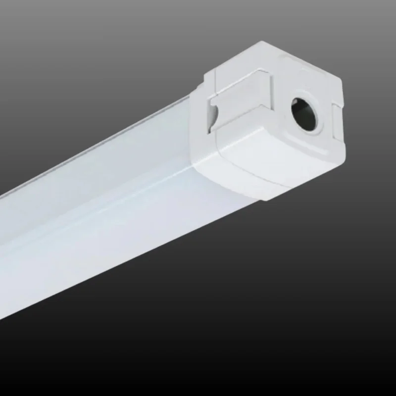 beeslighting12456079