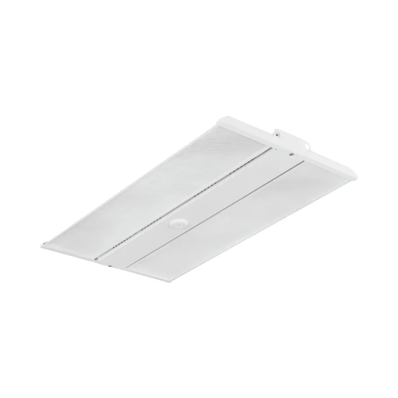 beeslighting12456251