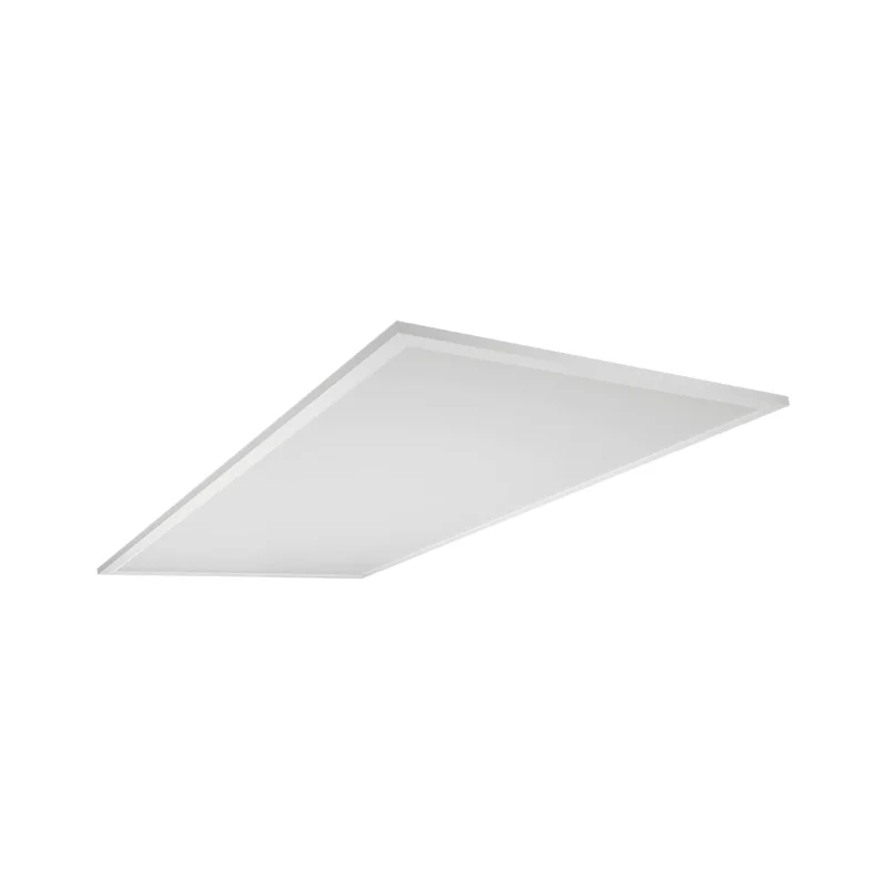 beeslighting12456430