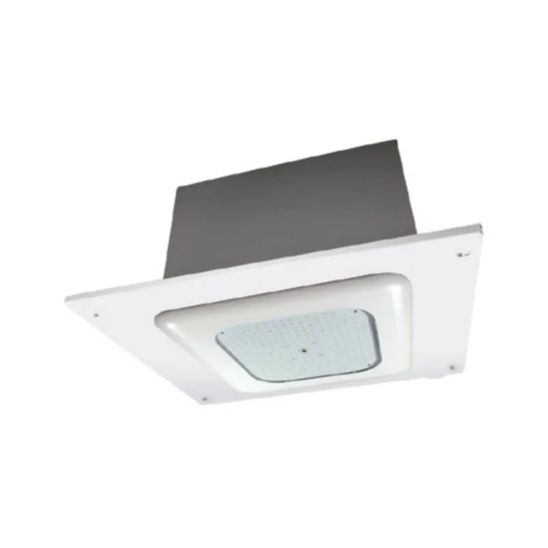 beeslighting12456719
