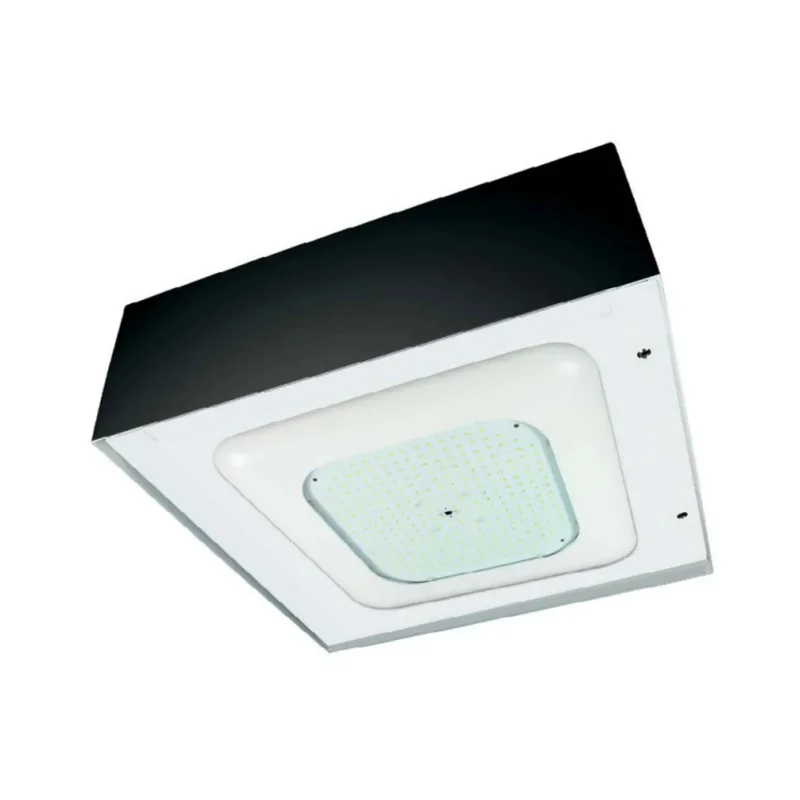 beeslighting12456771