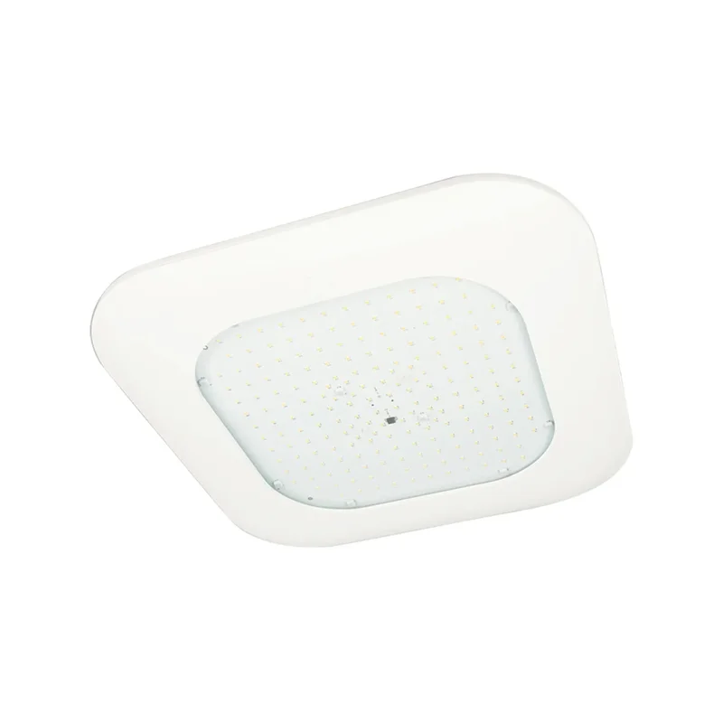 beeslighting12456777