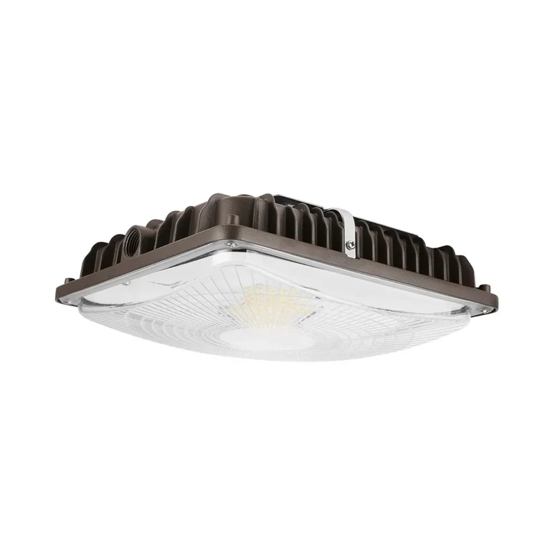 beeslighting12456857