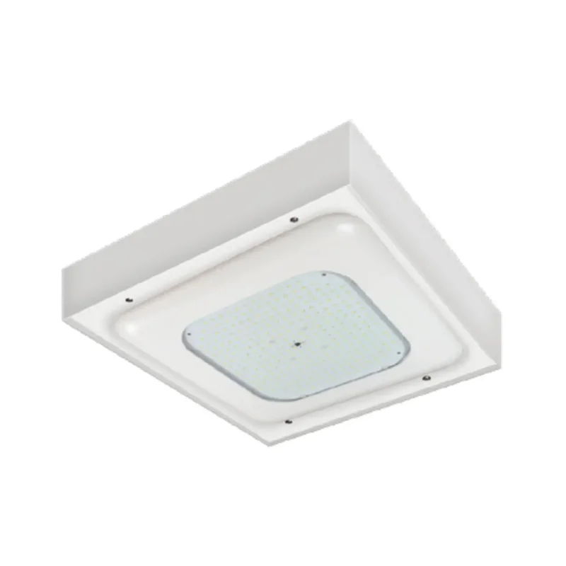 beeslighting12456869