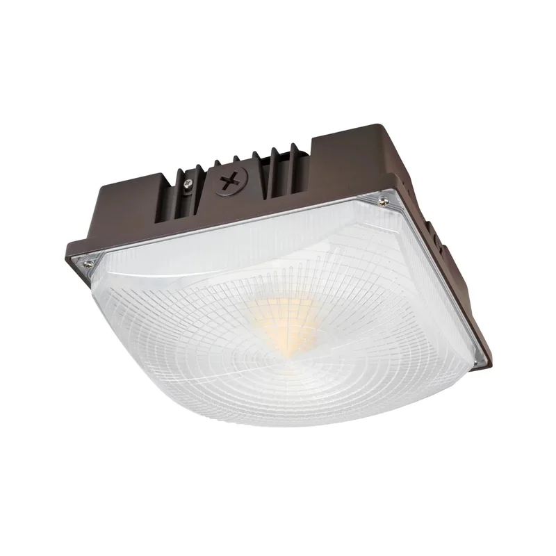 beeslighting12456933