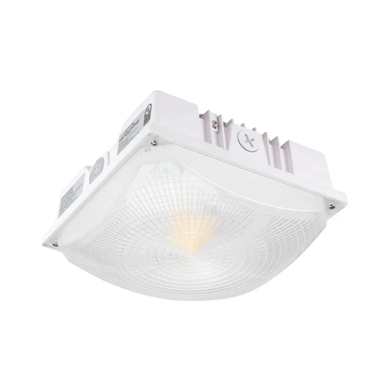 beeslighting12456986