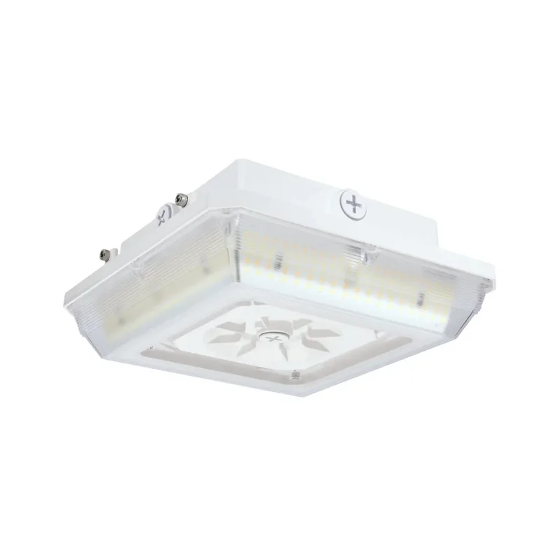 beeslighting12457109