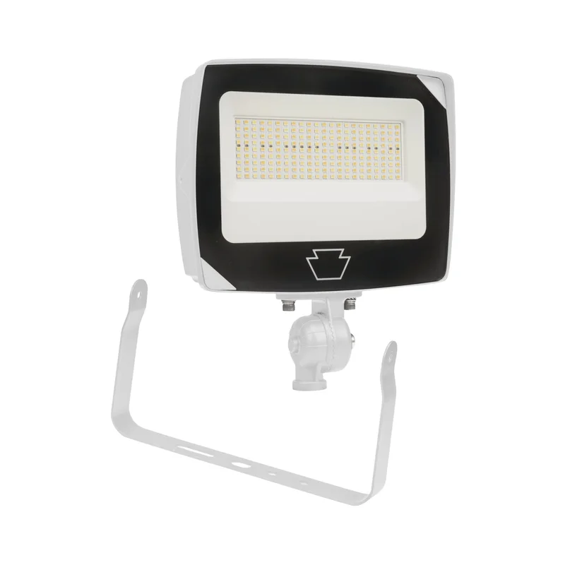 beeslighting12457206