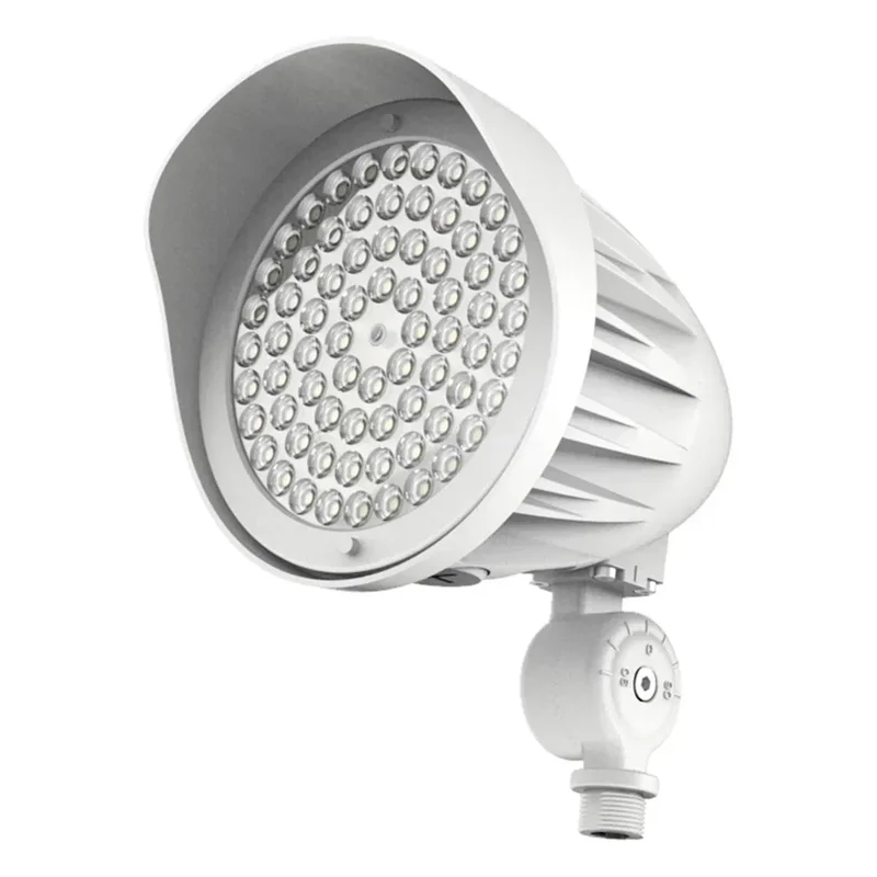 beeslighting12457390