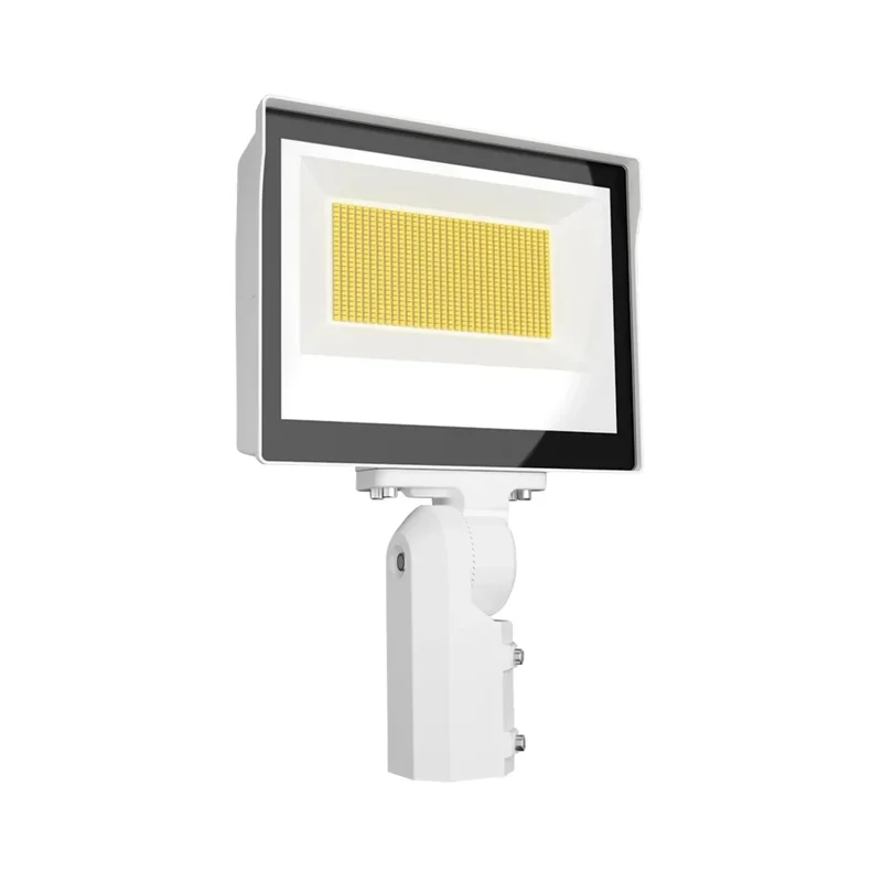 beeslighting12457784