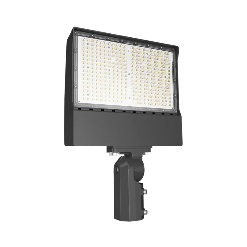 beeslighting12457955