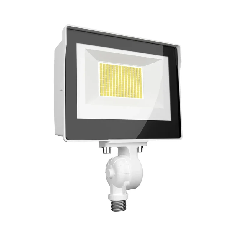 beeslighting12458091