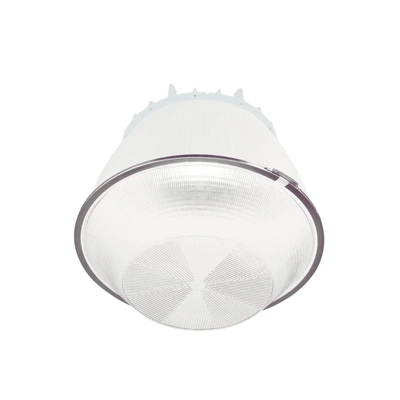 beeslighting12462659
