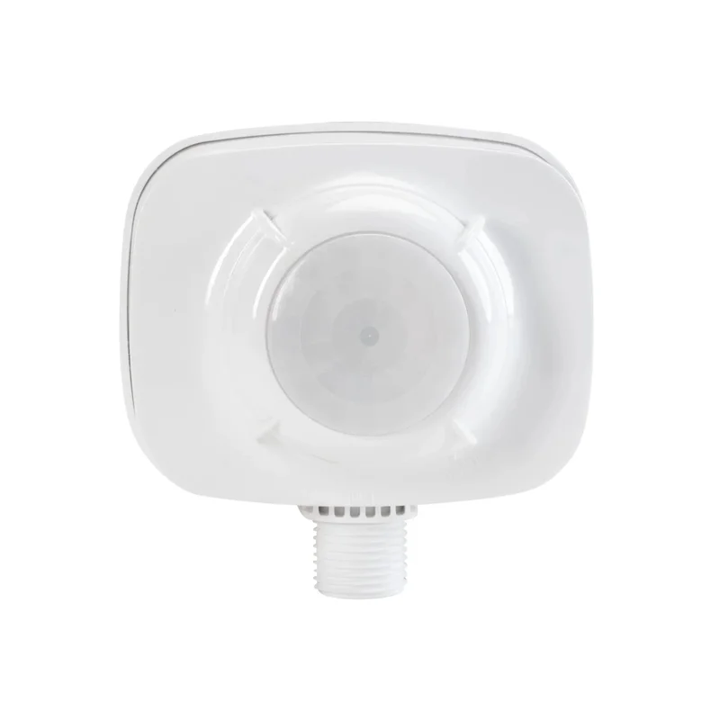 beeslighting12463673