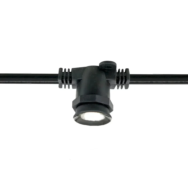 beeslighting12465843