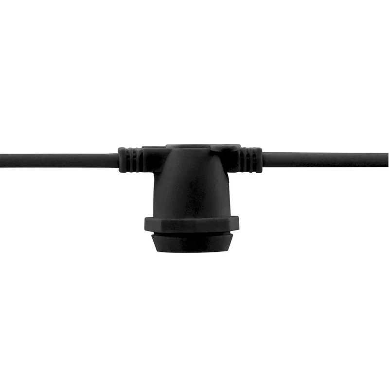 beeslighting12465852