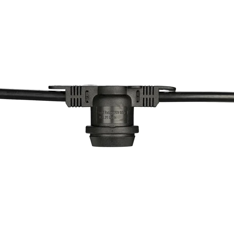 beeslighting12465860