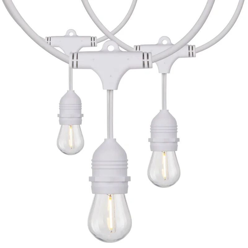 beeslighting12465938