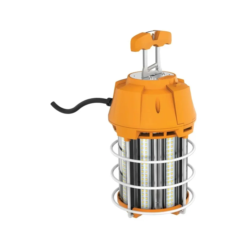 beeslighting12466405