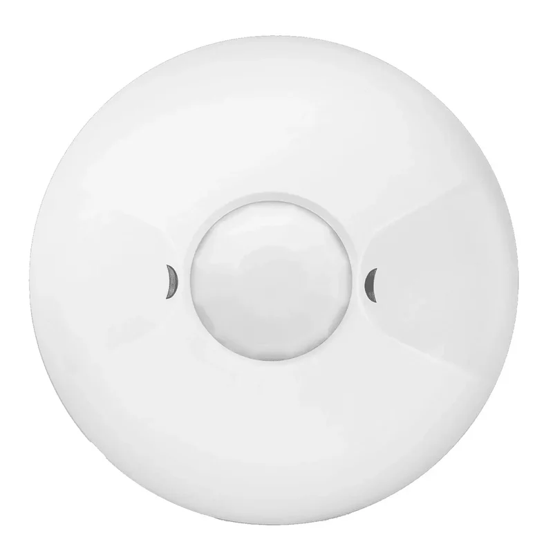 beeslighting12468103