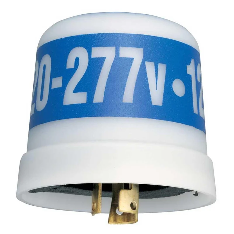 beeslighting12468153