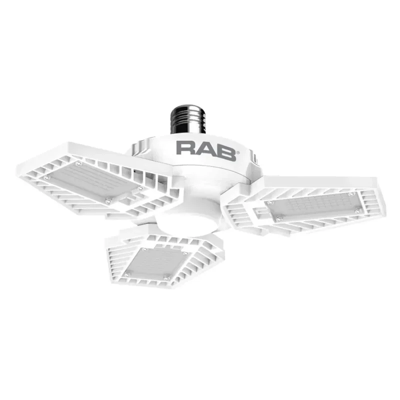 beeslighting12528005