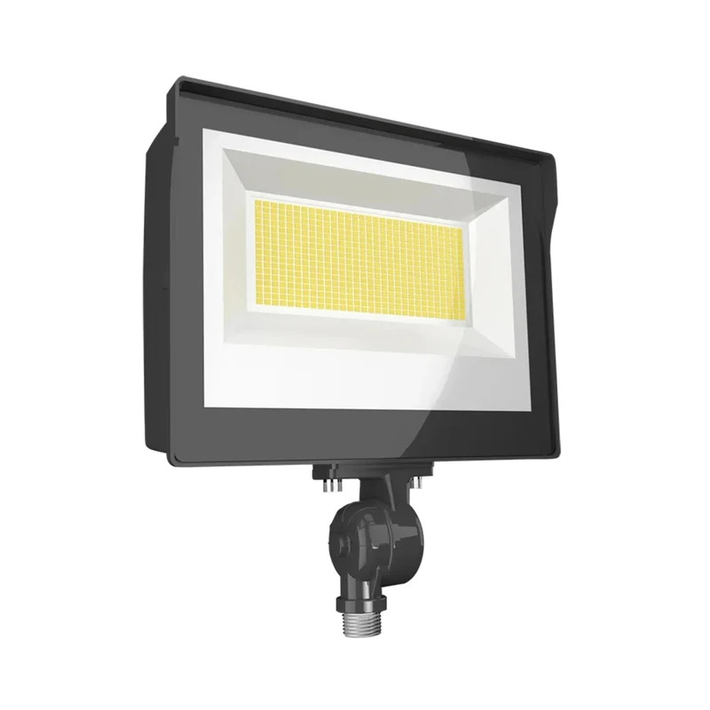 beeslighting12528501