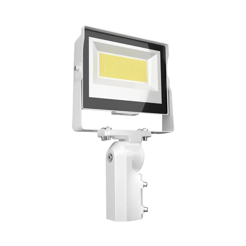 beeslighting12528938