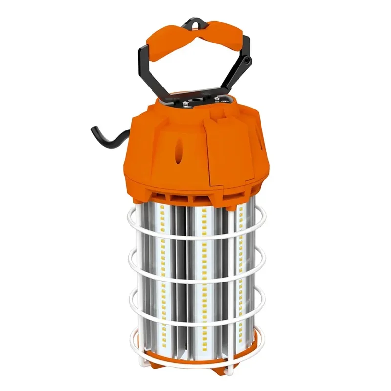 beeslighting12529367