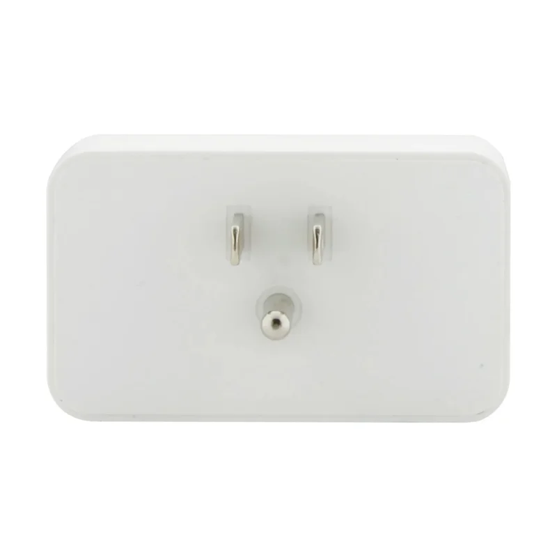 beeslighting12612522