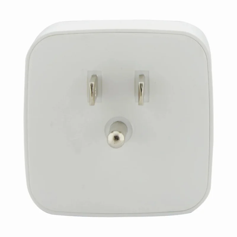 beeslighting12612529