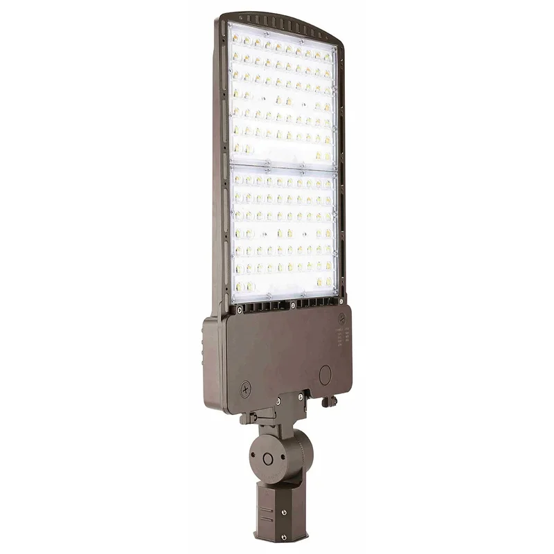beeslighting12615797