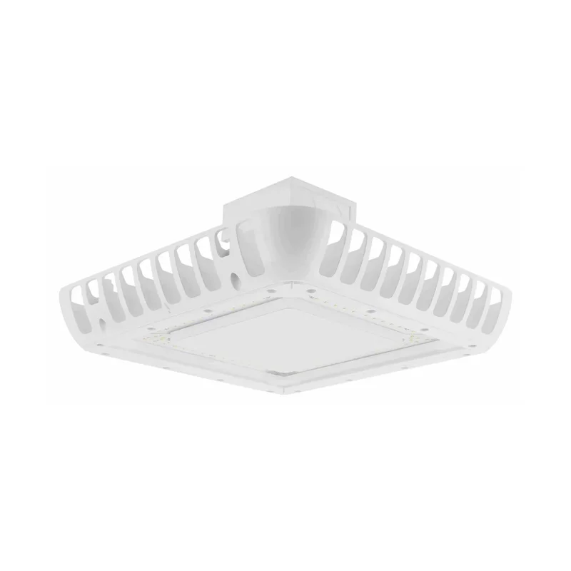 beeslighting12615823