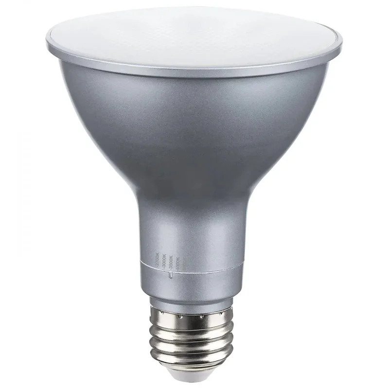 beeslighting12616923