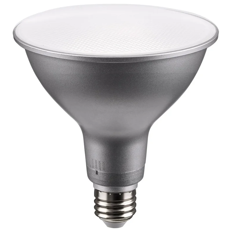 beeslighting12616956