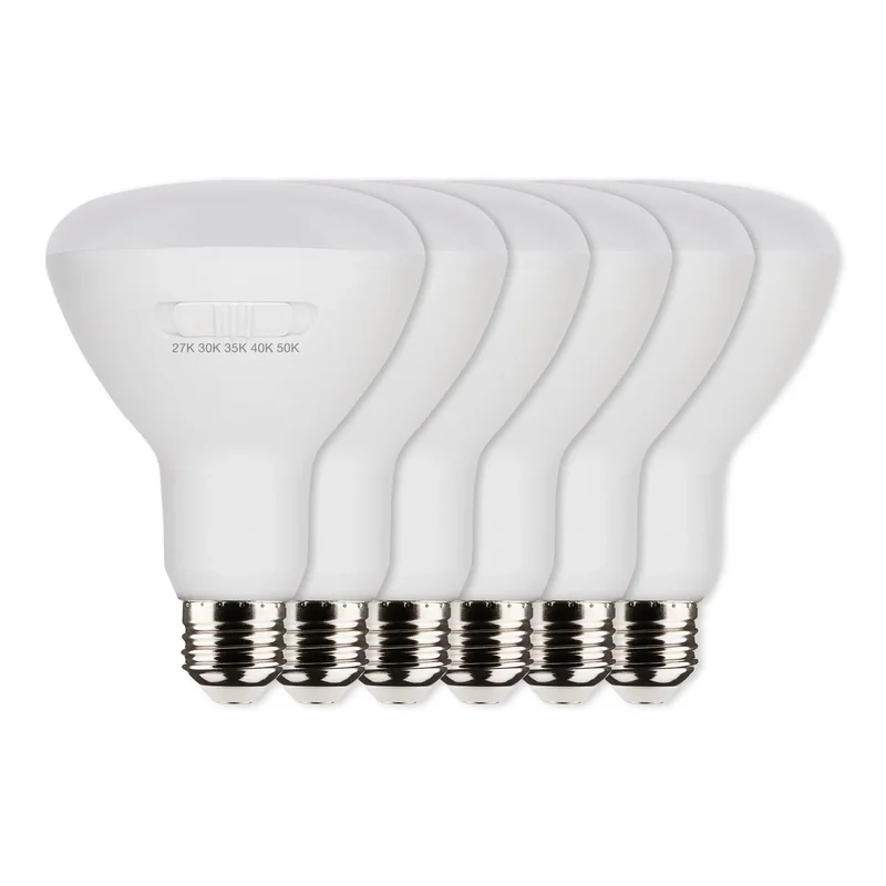 beeslighting12616987